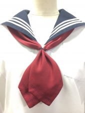 レッドスカーフ
全1点