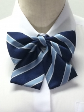 ブルーリボン 　
男女お揃い
全16点