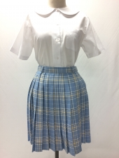 ブルースカート
全5点