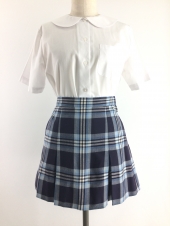 ブルースカート
全1点