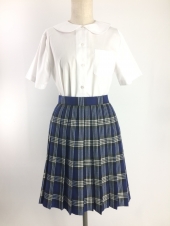 ブルースカート
全1点