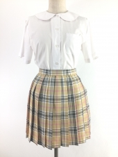 ベージュスカート
全1点