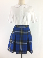 ブルースカート
全1点