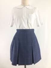 ブルースカート
全1点