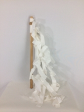 おおぬさ
全1点