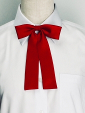 レッドリボン
全2点