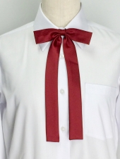 レッドリボン
全5点