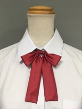 レッドリボン
全10点