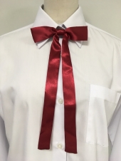 レッドリボン
全5点