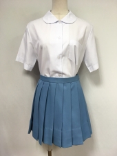 ブルースカート
全1点