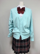 ブルーカーディガン
全1点