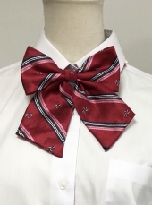 レッドリボン 　　　　　　　　　　
男女お揃い
全13点