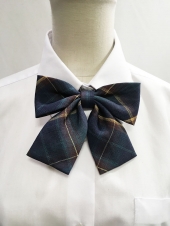 グリーンリボン　　　　　　　　　　
男女お揃い
全1点