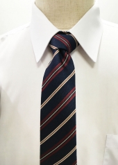 ネイビーネクタイ
男女お揃い
全20点