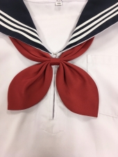レッドリボン
全5点