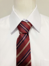 レッドネクタイ 
男女お揃い
全30点