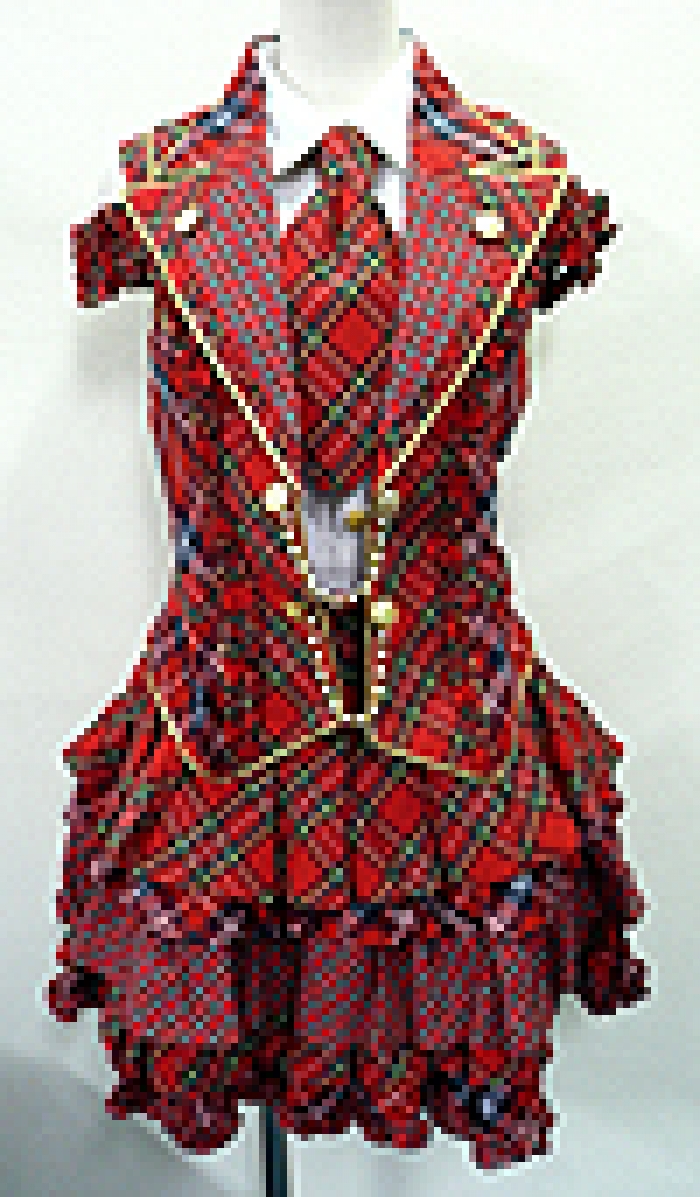 レッドスクールアイドル
全1点