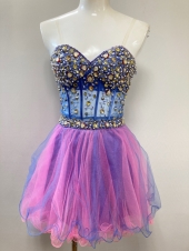 ブルービスチェ 
ピンクスカート
全1点